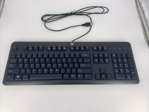 New HP Wired Standard USB Computer Desktop Keyboard - Black 672647-003 KU-1156 - Picture 5 of 7