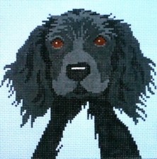 Black Spaniel Hand Painted Needlepoint Canvas