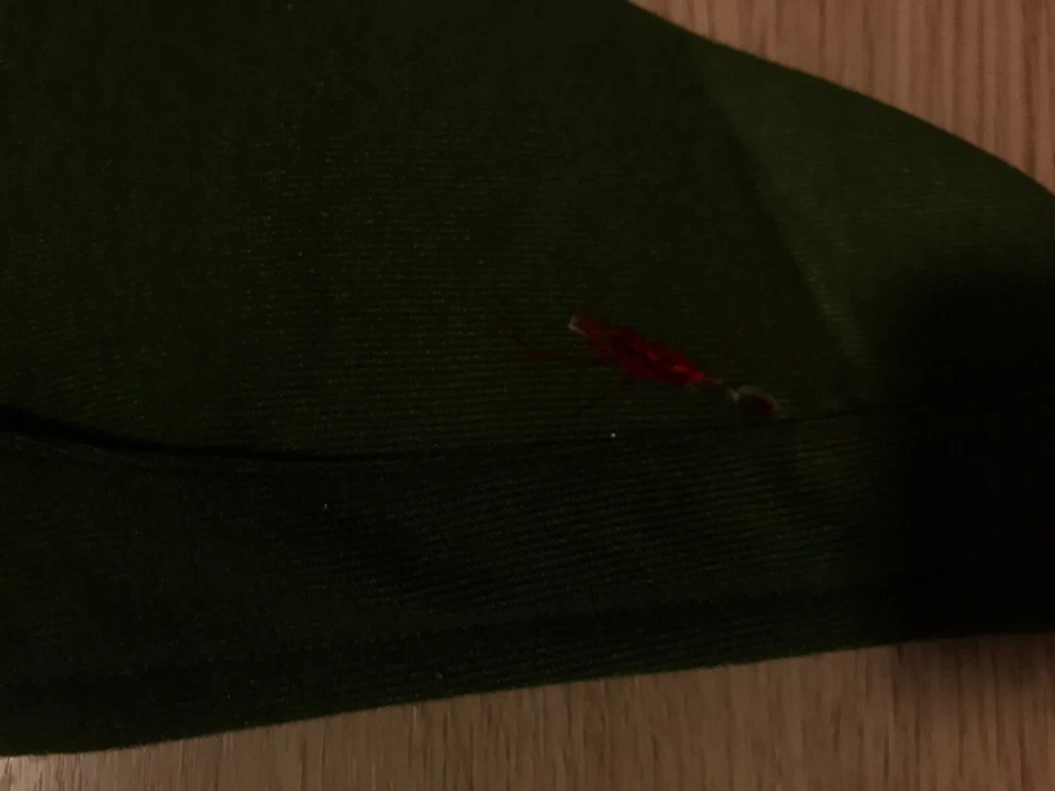 Rubies age 4-5 Peter Pan 4 piece outfit  - Image 4 of 4