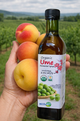 Japanese UME Syrup,梅シロップ,매실엑기스(100% 천연발효 오개닉),梅子提取物,Chiết xuất mận Ume