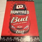 Budweiser Run in the Red Bud NASCAR 2002 Dale Earnhardt Jr Stein in Box — photo 4