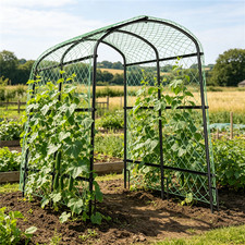 Climbing Plants Garden Trellis Metal Cucumber Support Archway with Nylon Netting