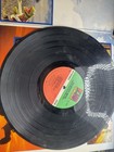 Foto 8 di 8