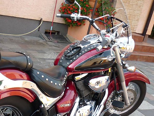 SUZUKI VOLUSIA VL800 C800 INTRUDER C50 BOULEVARD PELLE SERBATOIO PAD BAVAGLINO PANNELLO REGGISENO - Foto 6 di 9
