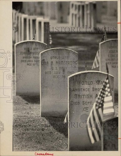 1981 Pressefoto Grabsteine am Spring Grove Cemetery, Darien - ctaa16470