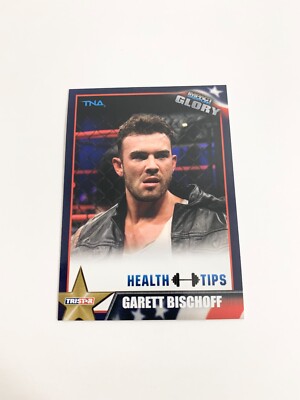 Garett Bischoff 2013 Tristar TNA Impact Glory Card # 83