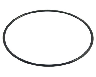 O-Ring 20,6x1,9 mm