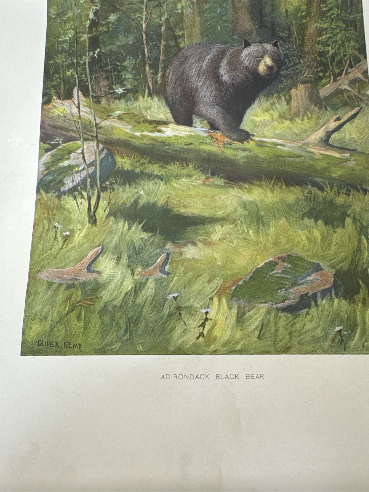Picture 15 of 24