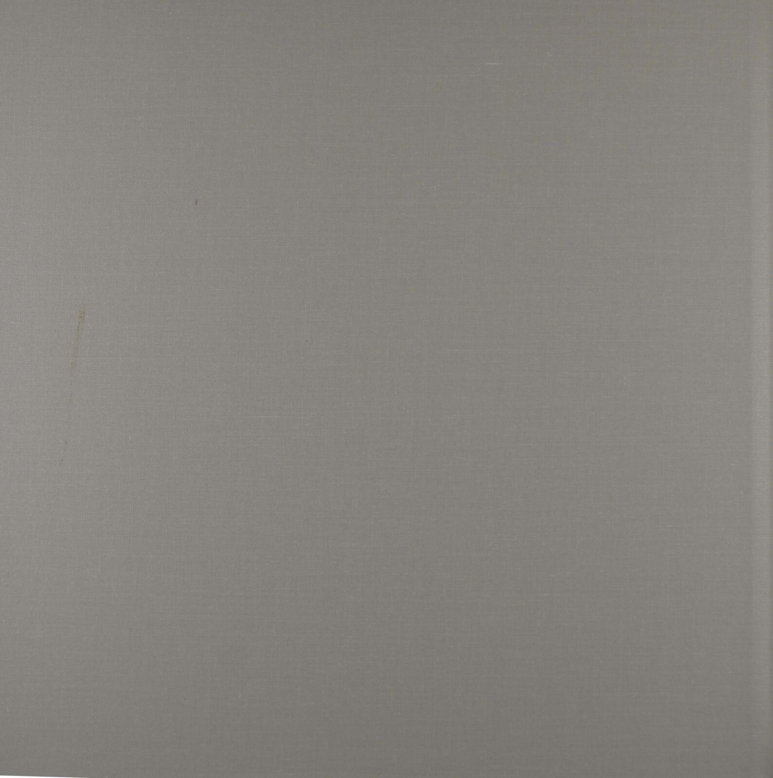 Picture 7 of 19