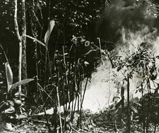 U.S. Marine flame throwing in South Pacific 8"x 10" World War II Photo Picture 5