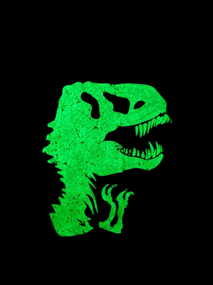 Jurassic World Hooded Shirt Boys Kids Small Gray Glow In Dark Dinosaur - Image 2 of 4