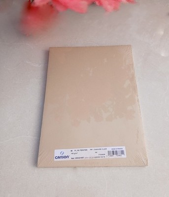 2 Packungen à 50 A4 Blatt - 160 g/m² CANSON Mi-Teintes - Nr. 340 farbiges Zeichenpapier