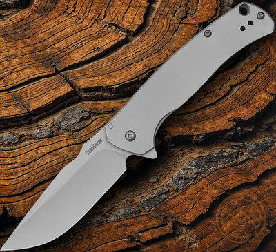 Kershaw Scour Assisted Folding Knife 3.38'' 8Cr13MoV Steel Blade Stainless Handle