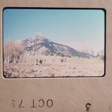 1970s Yellowstone National Park Snapshot Photo