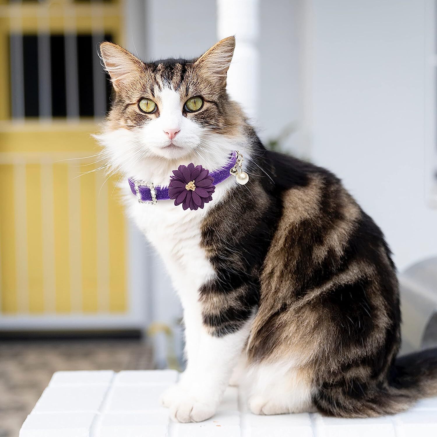 Breakaway Cat Collars with Bell & Flower Bling Cute Cat Collars for