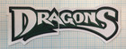 DAYTON DRAGONS MIDWEST MINOR LEAGUE BASEBALL JERSEY PATCH 2 PIECE SET WHITE