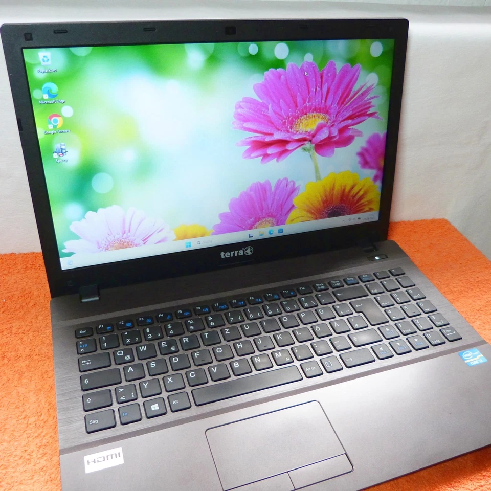 XXL SET I Terra 1529 15 Zoll Multimedia SSD Windows 11 PRO 16GB RAM NEU Core i7 - Bild 3 von 4