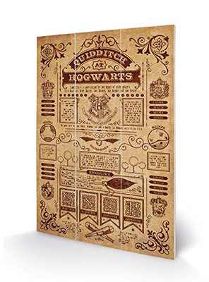 Harry Potter MW12493P 29.5 x 20 cm (Quidditch), MDF, Multi-Colour, 5 x 20 x 1.2 