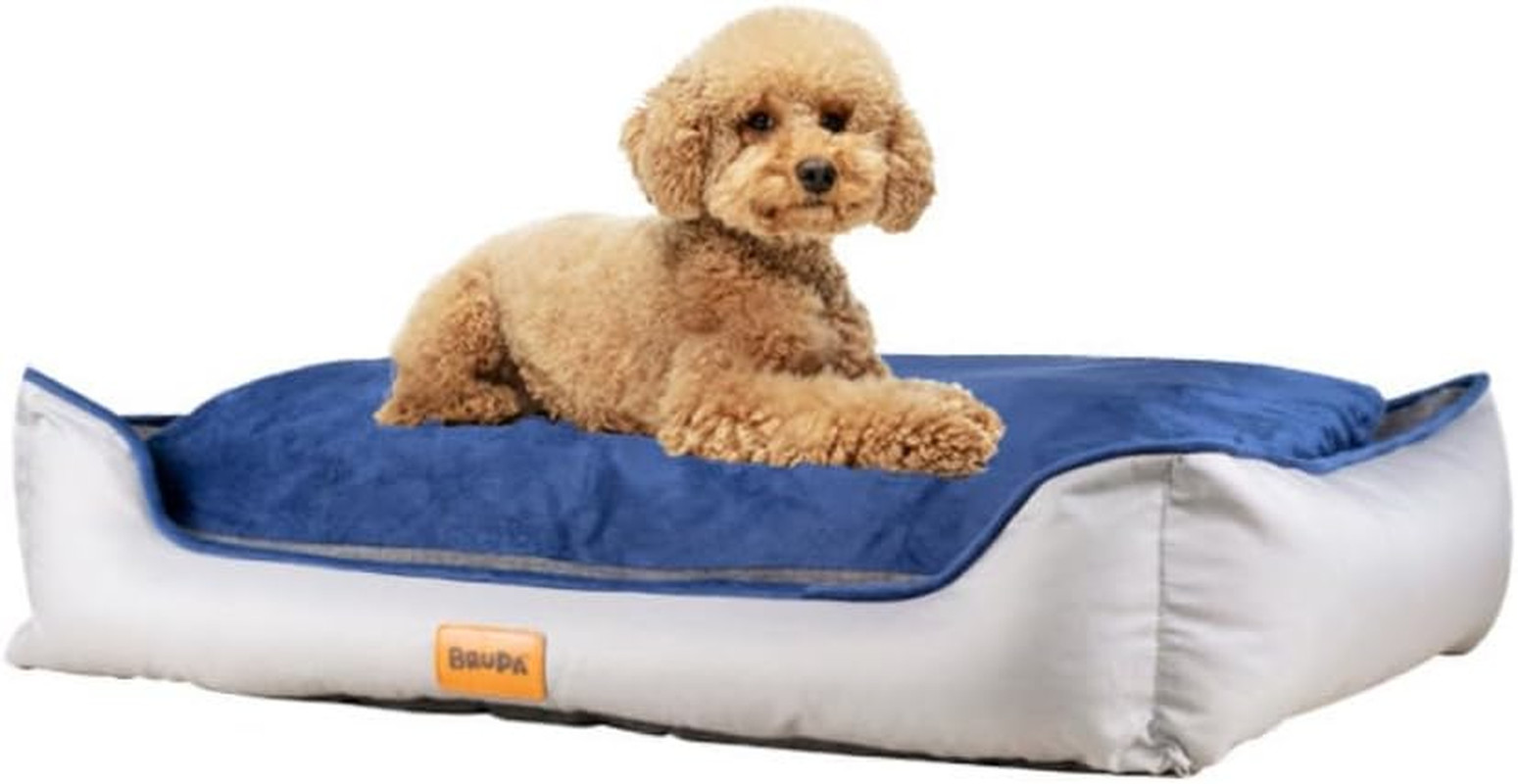 Cuccia Cane Esterno e Interno - Impermeabile e Resistente alle Unghie