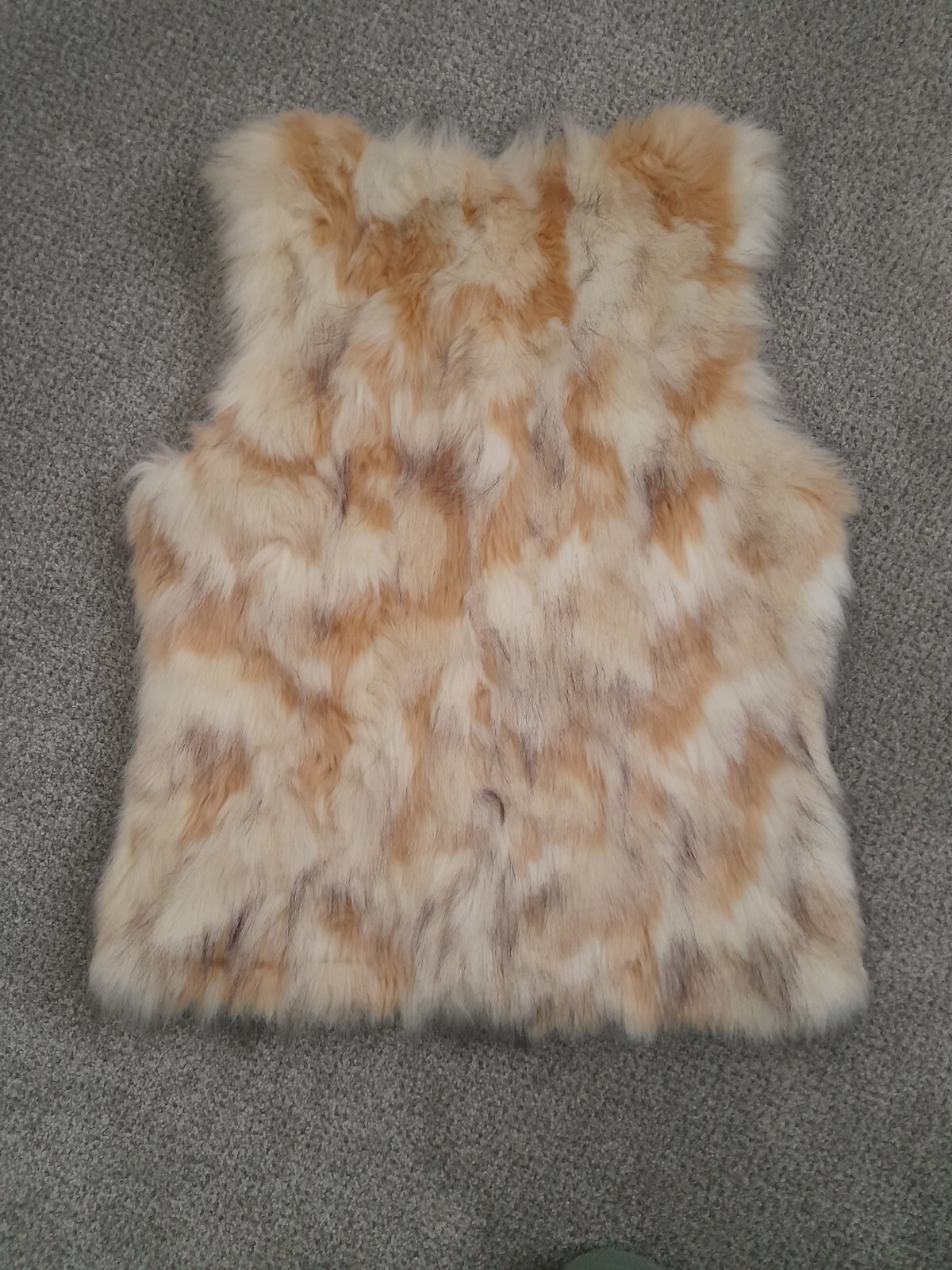Bild 2 von 2