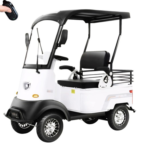 Electric Golf Cart Passenger Cruiser, with Extra Large Capacity Storage Trunk