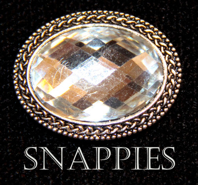 Snappies CRYSTAL MAGNETIC stock tie or lapel pin DRESSAGE SADDLESEAT SHOW HACK