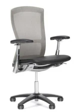 Knoll Life Chair Multi Adjustable Aluminum Office Chair Mesh Back Loaded