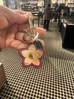 小物 Coach keychains colorful flowers charms m_619924a9163df4ce55038bc2.jpg