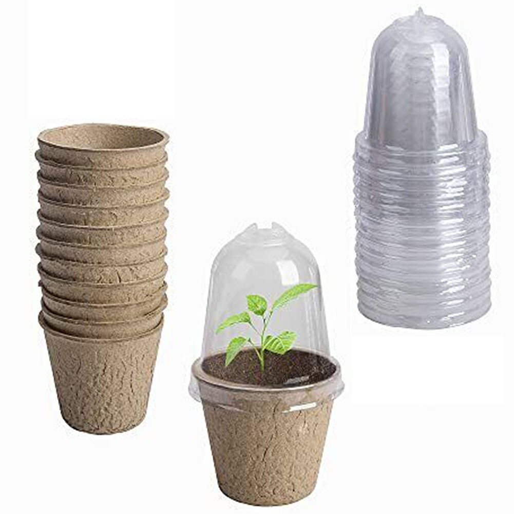 Ocean Made Biodegradable Gardening Pots Market Research Biodegradable Garden Pots | Fasci Garden