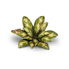 Gamers Grass Terrain Dumb Cane Pack New