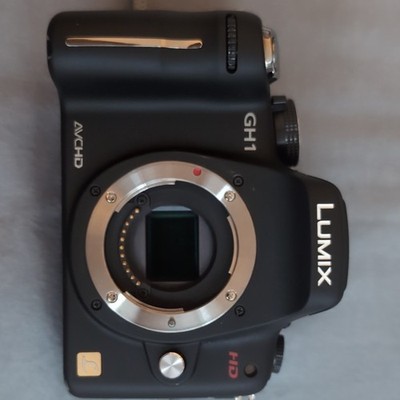 Panasonic LUMIX DMC-GH1 12.1MP Digital Camera - Black (Body Only