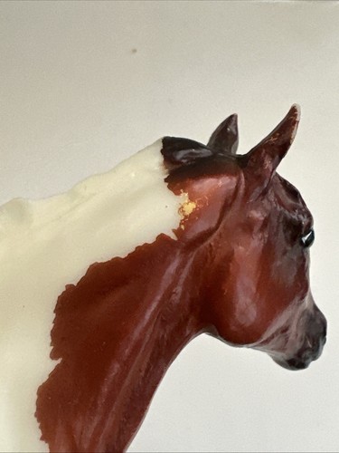 Breyer Pinto Sport Horse #62006 2009 Classici Duchessa - Foto 17 di 21