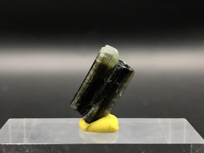 Turmalin Top Qualität grüne Kappe Kristall 13,7Ct von AStak Nala, Pakistan.