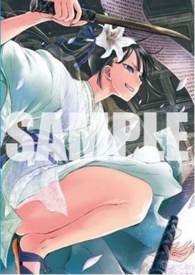 Type-Moon Fate Grand Order FGO Premium B2 Size Tapestry  No.21 Jing Ke
