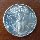 1995 AMERICAN SILVER EAGLE CIRCULATED GOOD CONDITION LOW MINTAGE COIN
