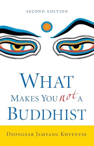 What Makes You Not a Buddhist - Image 8