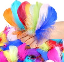 600 Pcs Feathers for Crafting, 3-5 inch Craft Feathers Assorted Colors, Goose Fe