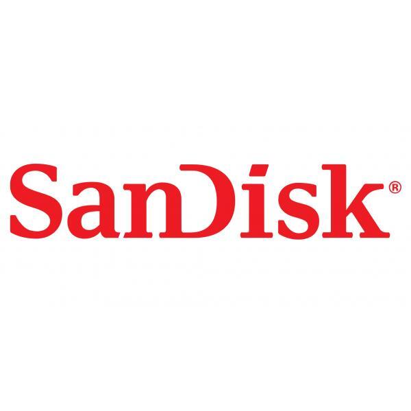 Sandisk Ultra Luxe - Chiavetta Usb - 1 Tb - UsB-C 3.2 Gen 1