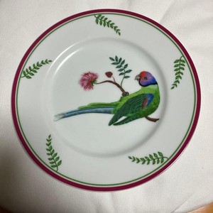 Lynn Chase Parrots of Paradise | eBay