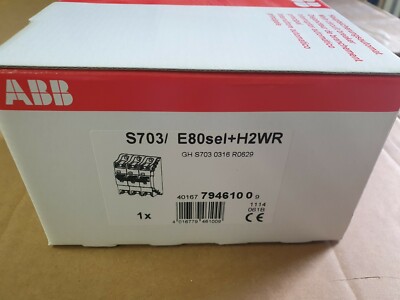 ABB S703/ E100sel+H2WR Hauptsichungsautomat 