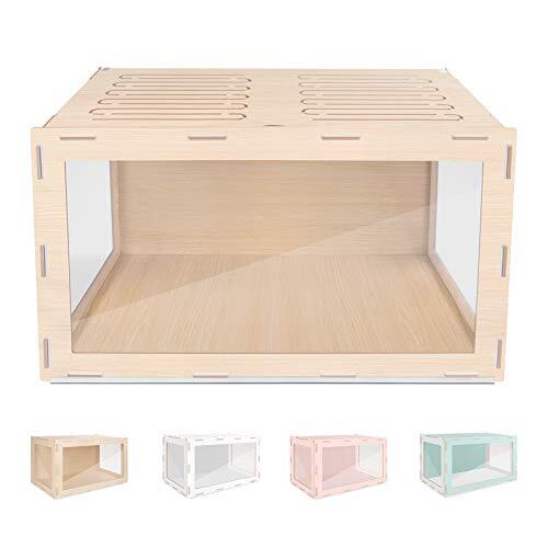 niteangel bigger world mdf terrarium