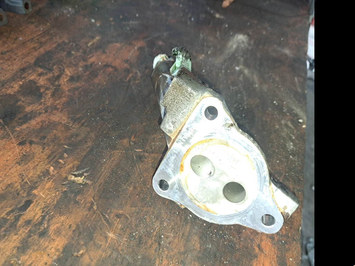 ANH20w イデアルトゥルーバ極