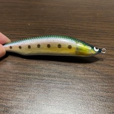 Woodream Arbol 90SS Lipless Crankbait for Saltwater Species Used