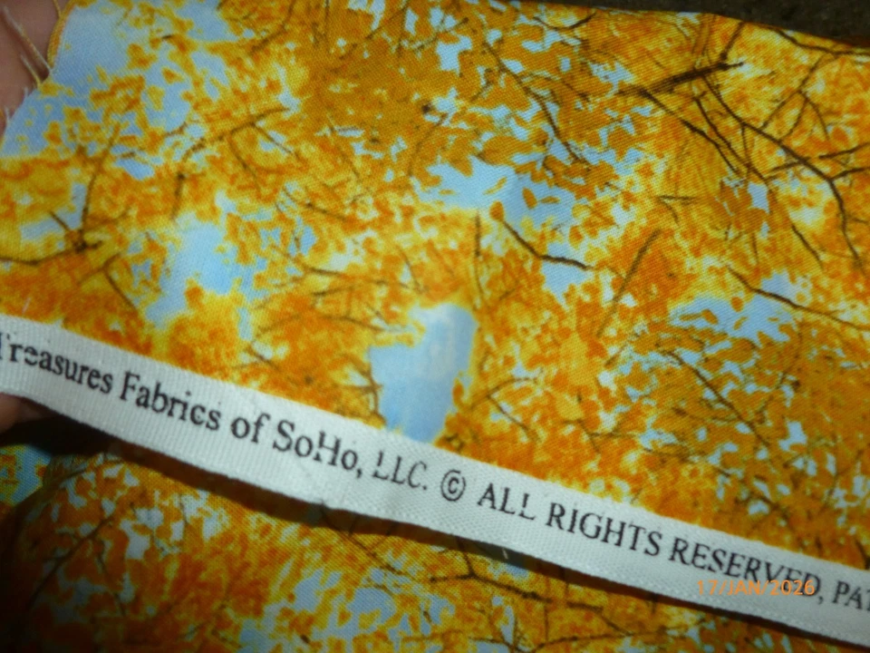 Timeless Treasures Fabrics of SOHO Fall Sky Autumn 1/2 yd - Image 2 of 3