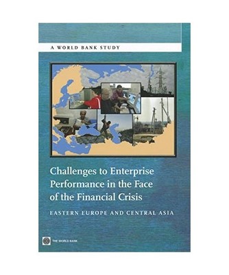 Challenges to Enterprise Performance in the Face of the Financial Crisis: Easter