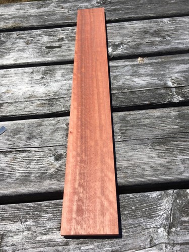 eucalyptus fretboard