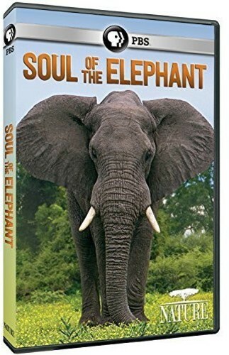 ホラーDVD 【THE GREEN ELEPHANT】 ホラーDVD 【THE GREEN ELEPHANT】 輸入盤DVD【the green elephant】