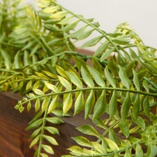 72" Vinyl Artificial Fern Garland for Indoor or Outdoor Decor