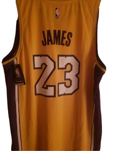 lebron james fanatics jersey