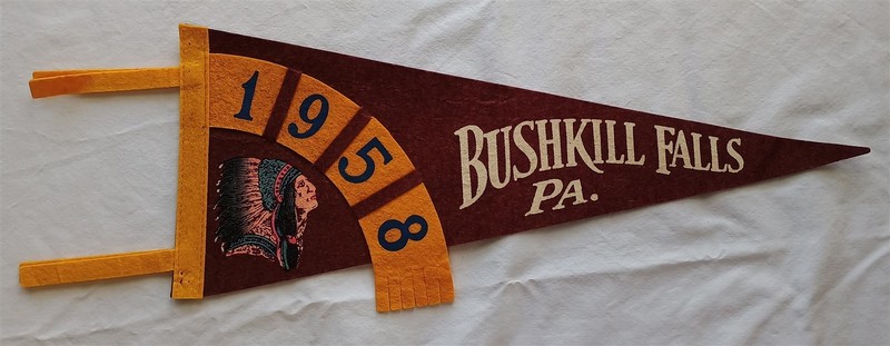 Vintage 1958 Bushkill Falls Pennsylvania Souvenir Felt Pennant Indian Head